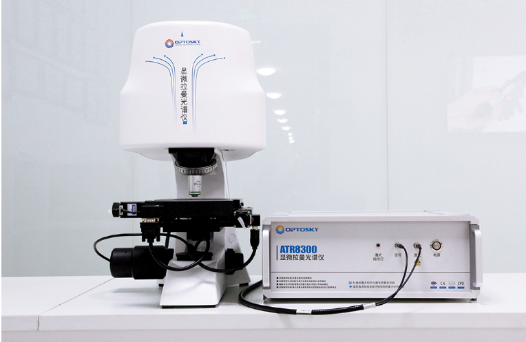 应用推荐丨显微拉曼光谱仪在保护肾脏健康中的应用