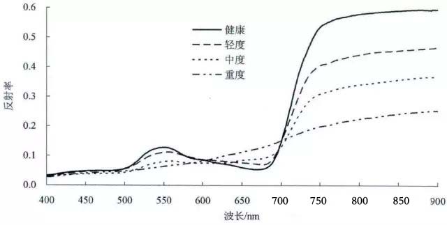 高光谱谱图信息