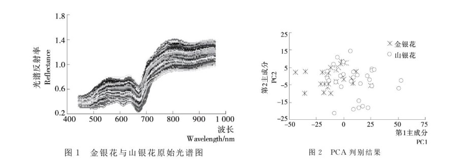 高光谱相机在工业检测中的应用—金银花、山银花中药材检测案例