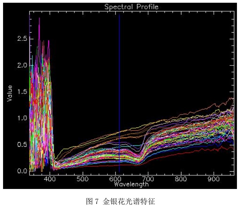 高光谱相机在工业检测中的应用—金银花、山银花中药材检测案例