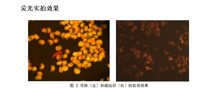 ATF8100自动对焦、自动扫描超大视场显微成像荧光光谱仪